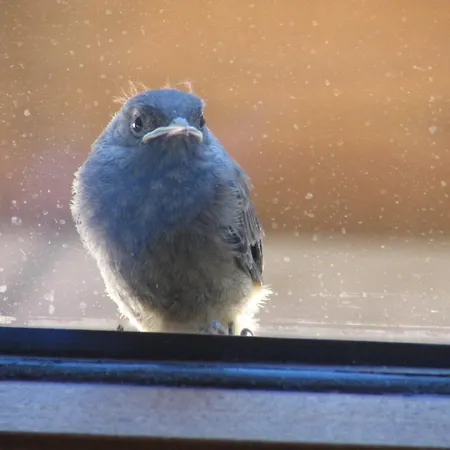 Ferienhaus Unterführholzergut *