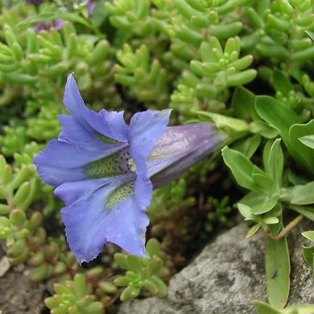 Unterfuehrholzergut Nyaraló Klaus an der Pyhrnbahn