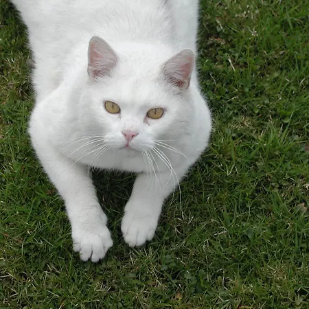Unterfuehrholzergut * Klaus an der Pyhrnbahn