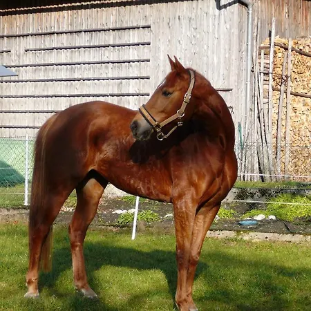 Unterführholzergut Ferienhaus