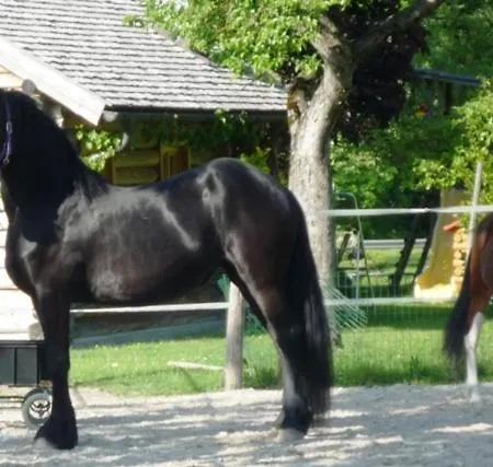 Prázdninový dům Unterfuehrholzergut *