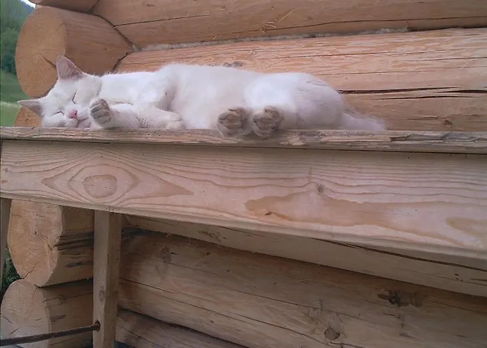 Nyaraló Unterfuehrholzergut