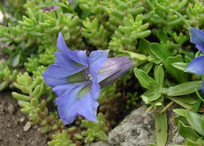 Unterfuehrholzergut Nyaraló Klaus an der Pyhrnbahn