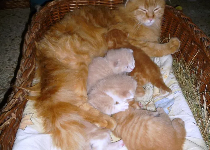 Unterfuehrholzergut Vakantiehuis *