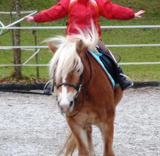 Nyaraló Unterfuehrholzergut *