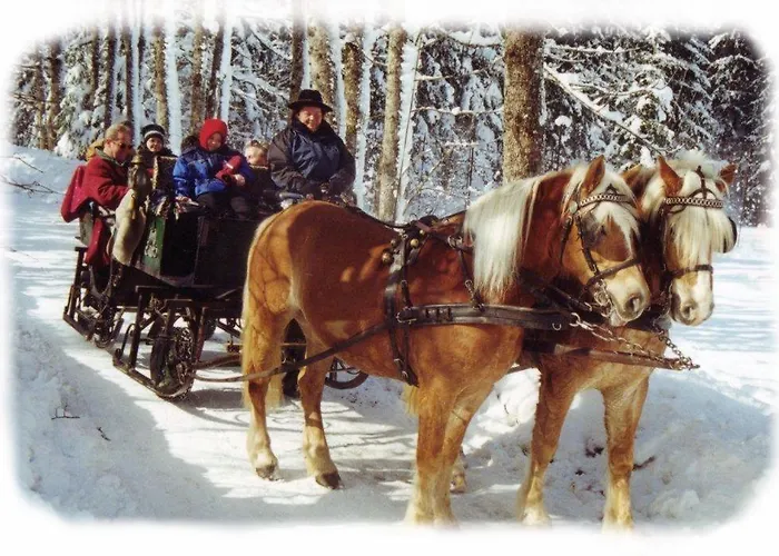 Nyaraló Unterfuehrholzergut Klaus an der Pyhrnbahn