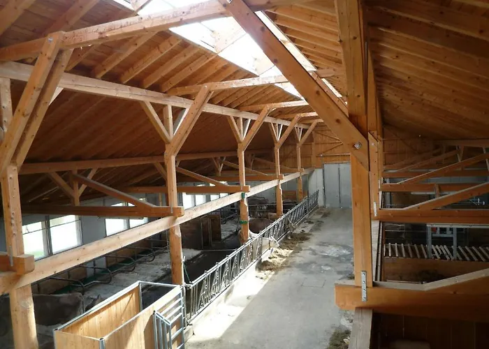 Unterfuehrholzergut *