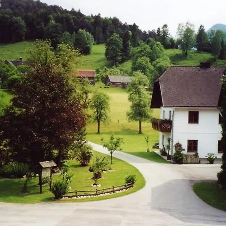 Unterfuehrholzergut Vakantiehuis Klaus an der Pyhrnbahn