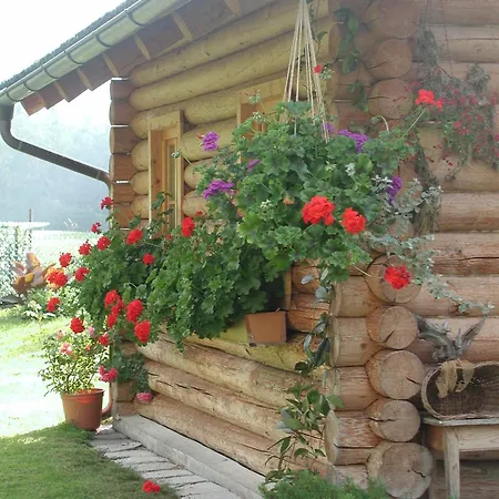 Unterfuehrholzergut Vakantiehuis Klaus an der Pyhrnbahn