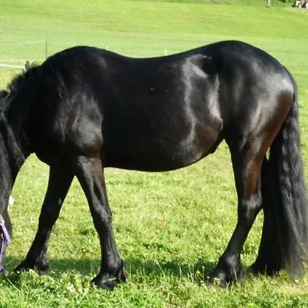 Сasa de vacaciones Unterführholzergut