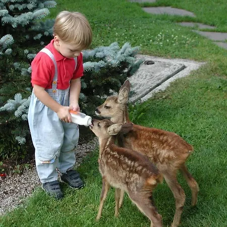 Unterführholzergut Сasa de vacaciones *