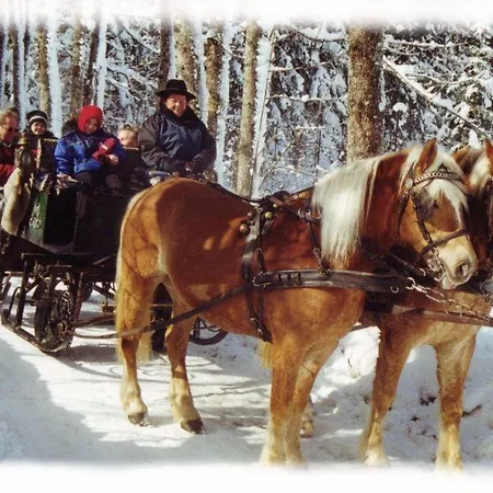 Сasa de vacaciones Unterführholzergut Klaus an der Pyhrnbahn