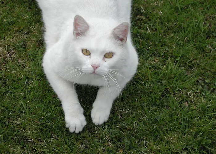 Unterfuehrholzergut * Klaus an der Pyhrnbahn