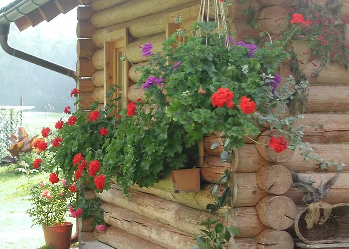 Unterfuehrholzergut Tatil Evi Klaus an der Pyhrnbahn