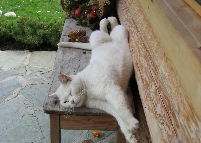 Unterfuehrholzergut Klaus an der Pyhrnbahn