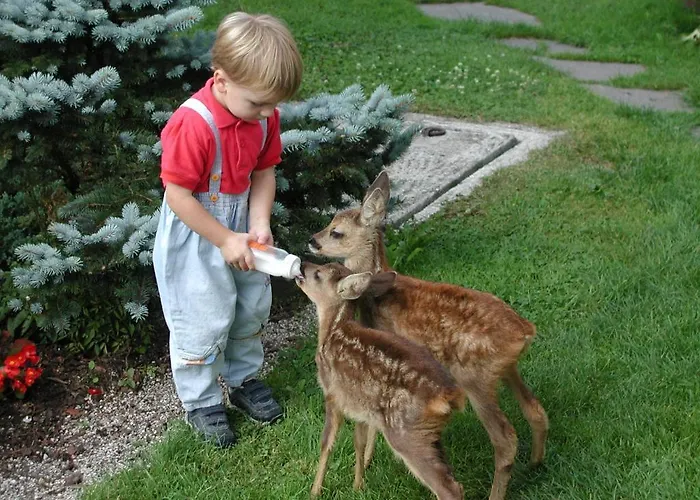 Unterfuehrholzergut Tatil Evi *